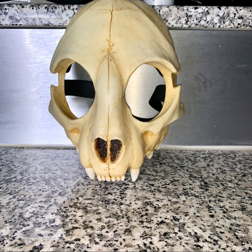 Custom made cat skull mask